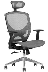 Silla ejecutiva para oficina Matrix